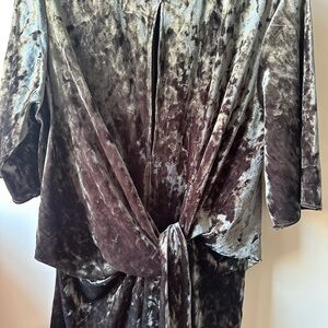 Zara Woman Velvet Quarter Sleeve Dress in Silver-Green Crushed Velour